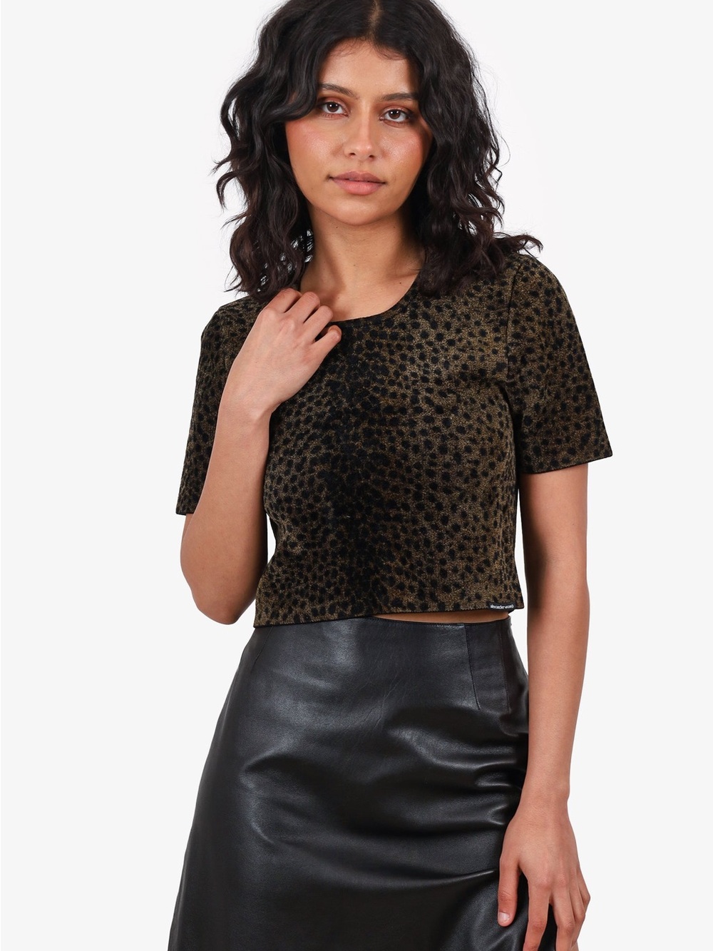 Alexander Wang Chenille Leopard Print Crop Top